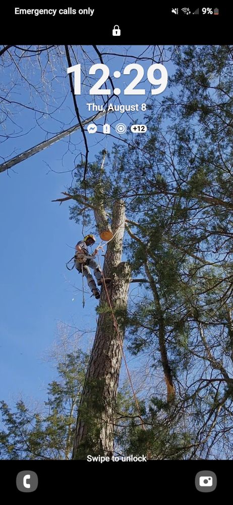 All Photos for Smith Tree Experts in Palmyra, VA
