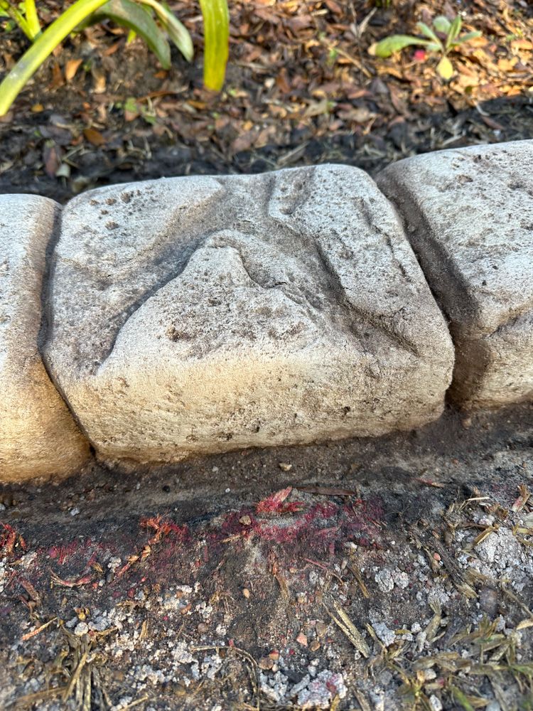 All Photos for Texas Curb N Borders in Houston, TX