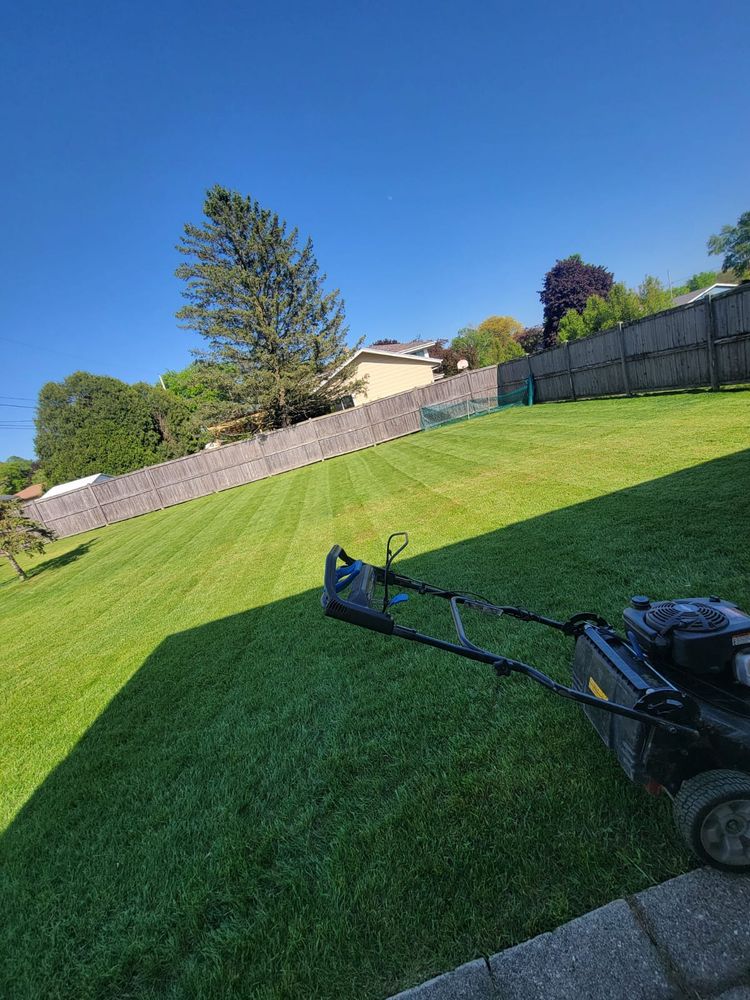 Lawn Care for Malagon & Company LLC in Milwaukee, WI