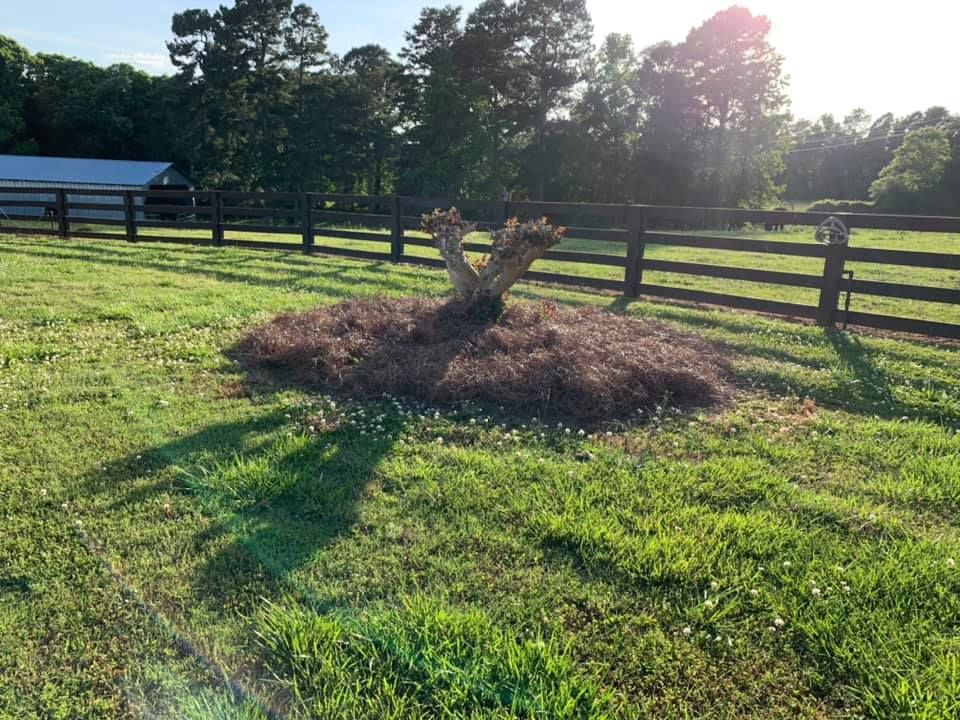 Lawn Care for LC Lawn Care & Landscaping in Canon, GA