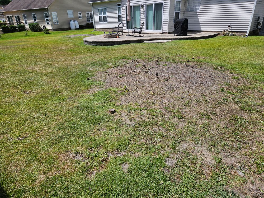 All Photos for Just Mow and Go Lawn Service in New Bern, NC