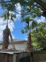 All Photos for Perfect MOs Landscaping in Hudson, FL