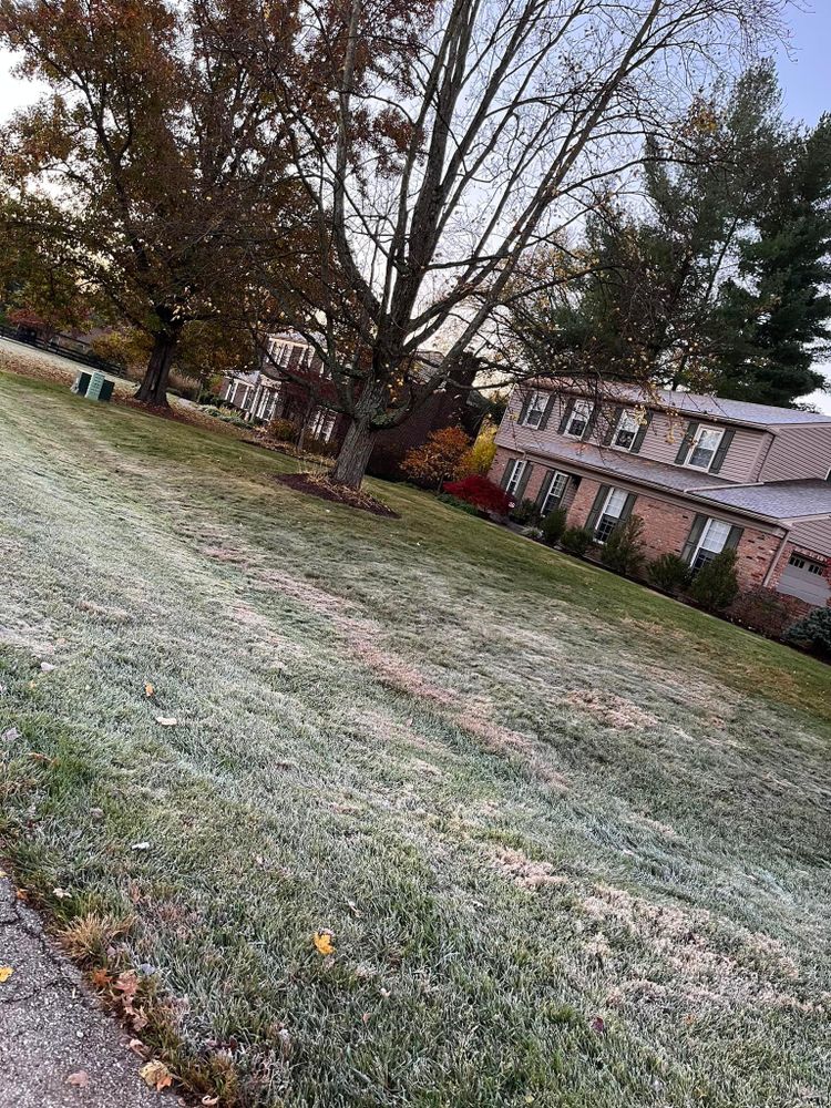 All Photos for Cincinnati’s Finest Landscape Services LLC in Cincinnati, OH