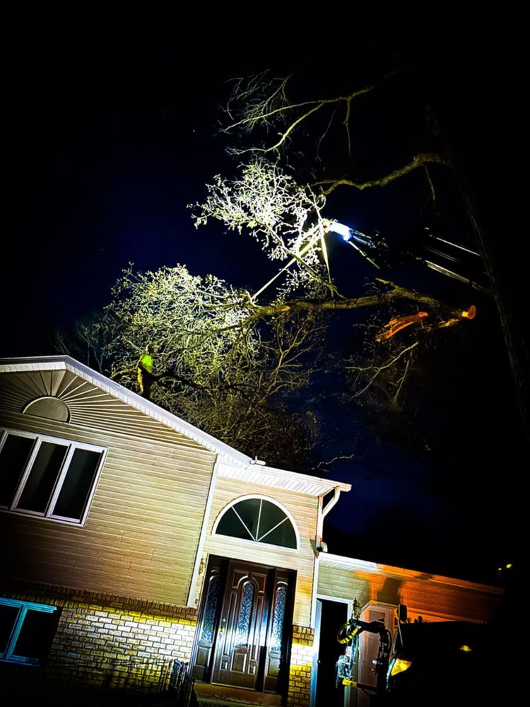 All Photos for Down To Earth Tree Service in Red Wing,  Minnesota