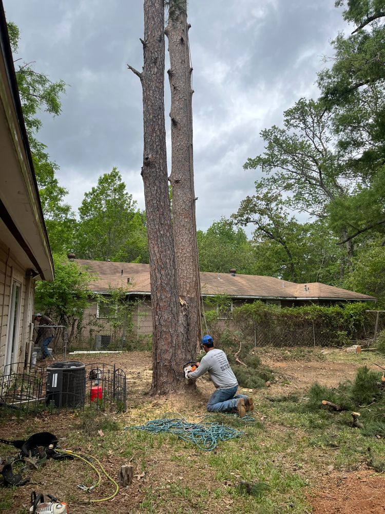 All Photos for JC Land and Tree Service in Kilgore, TX