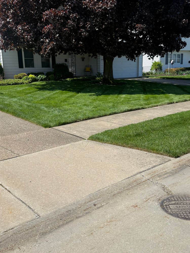 All Photos for Yard Theory in Willowick, OH