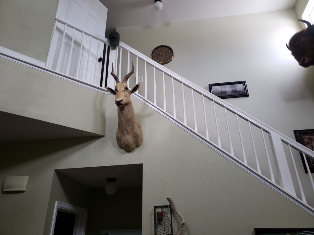 Our Floors & Stairs service provides expert installation, repair, and maintenance for all types of flooring and staircases, ensuring durability and style while available 24/many to meet your needs. for Our Fam Handyman LLC in Greeley, CO