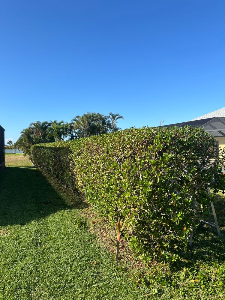 All Photos for Greystone Site Services in Fort Myers,, FL