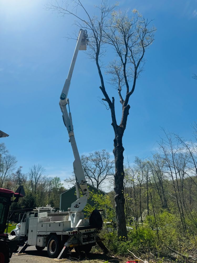 All Photos for Hennessey Tree & Landscape LLC in Oxford,  CT 