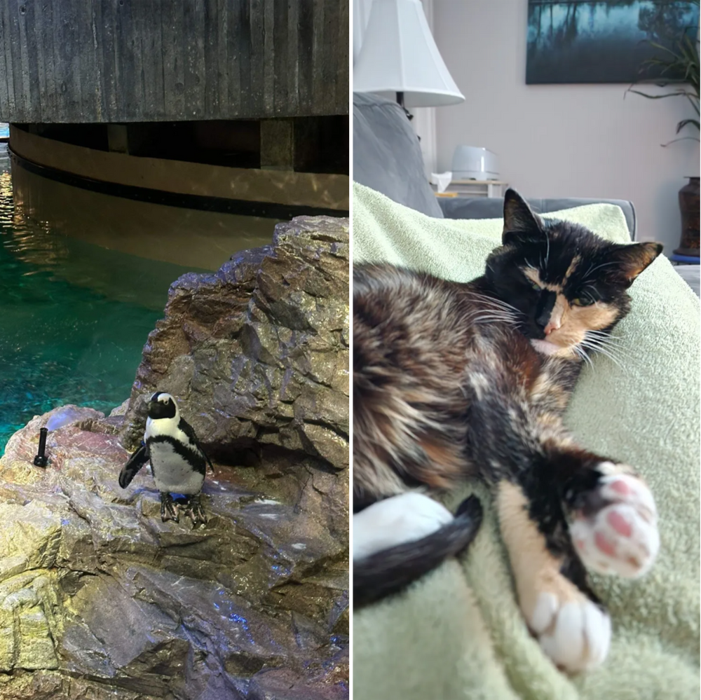 All Photos for Down Dog Yoga in Boston, MA