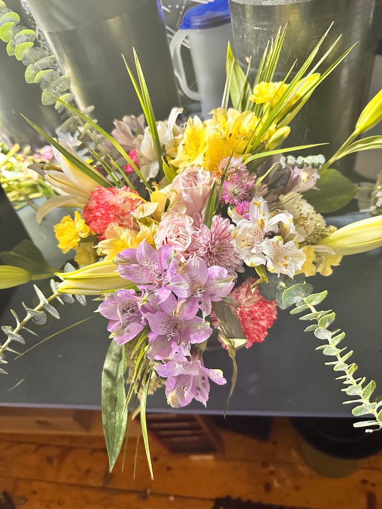 All Photos for The Dailey Daisy in Hardwick, VT