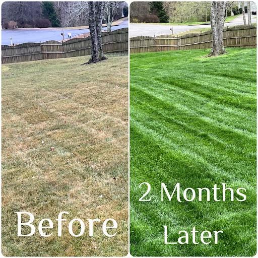 All Photos for Earth First Turf, LLC in Cherokee County, GA