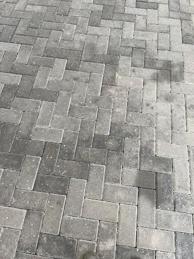 All Photos for Transforming Landscaping & Tree Service in Bowling Green, KY