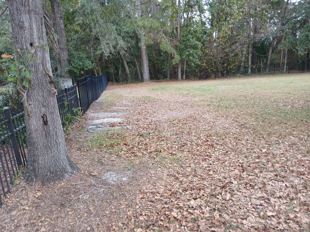 All Photos for Whole 9 Yards Services in Green Cove Springs, FL