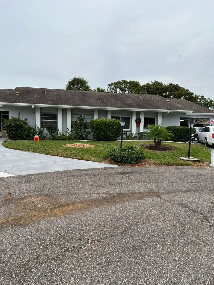Tree Removal for TREE BOYS in Ruskin, FL
