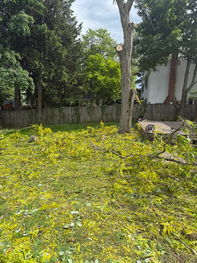 All Photos for Down To Earth Tree Service, LLC in Olmsted Falls, OH