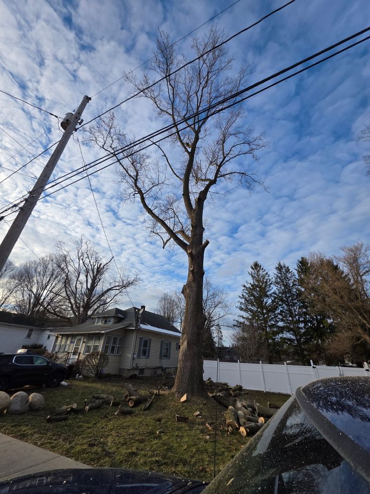 All Photos for Licensed to Cut Tree Service in Athens, PA