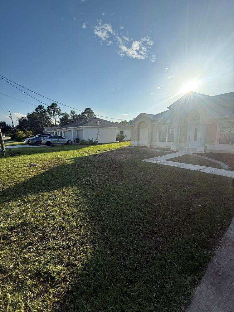 Tree Services for Grind Time Tree Service in Daytona, FL