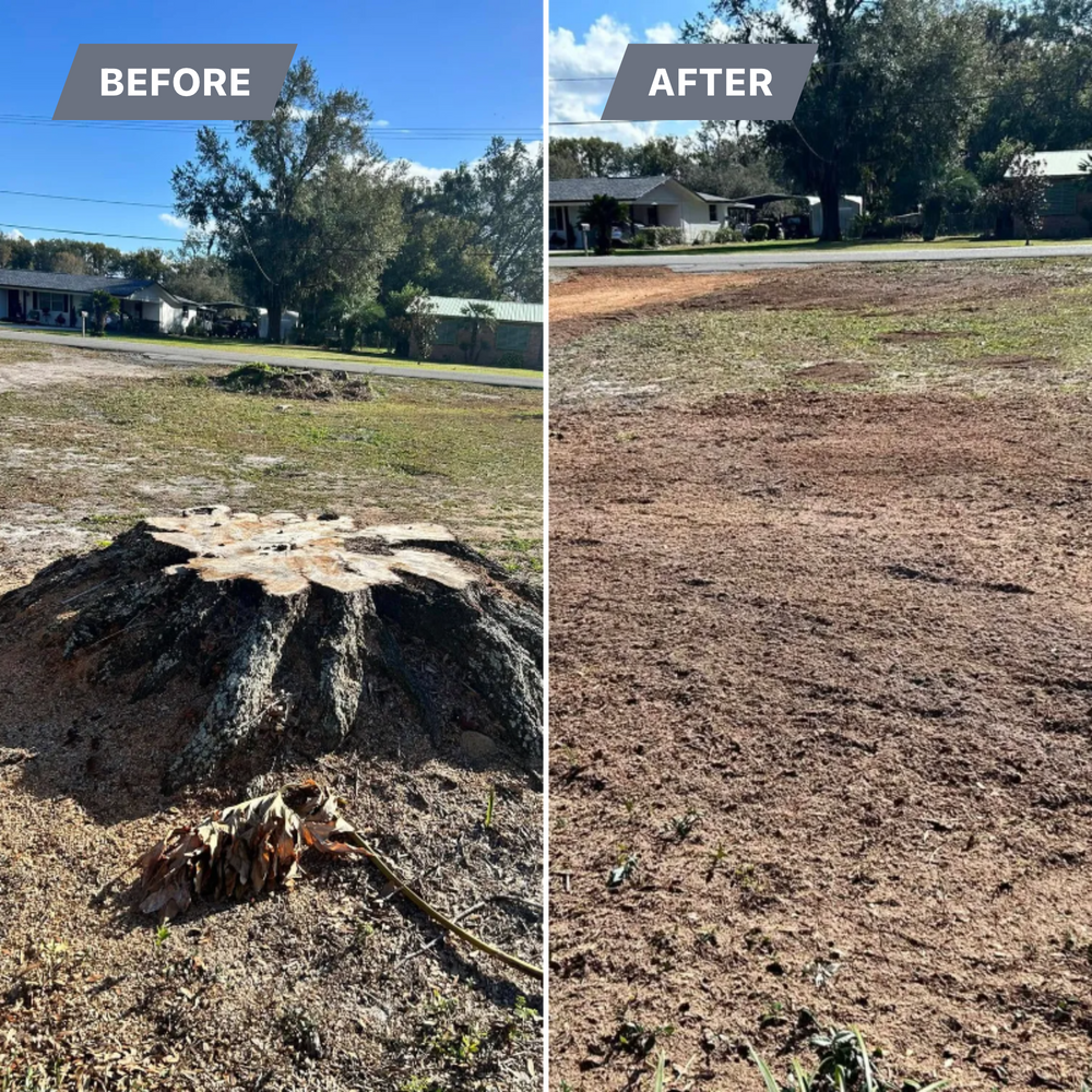 Stump Grinding for Greene Acres Stump Grinding in Plant City, FL