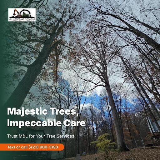 All Photos for M&L Lumber and Excavating in Jonesborough, TN