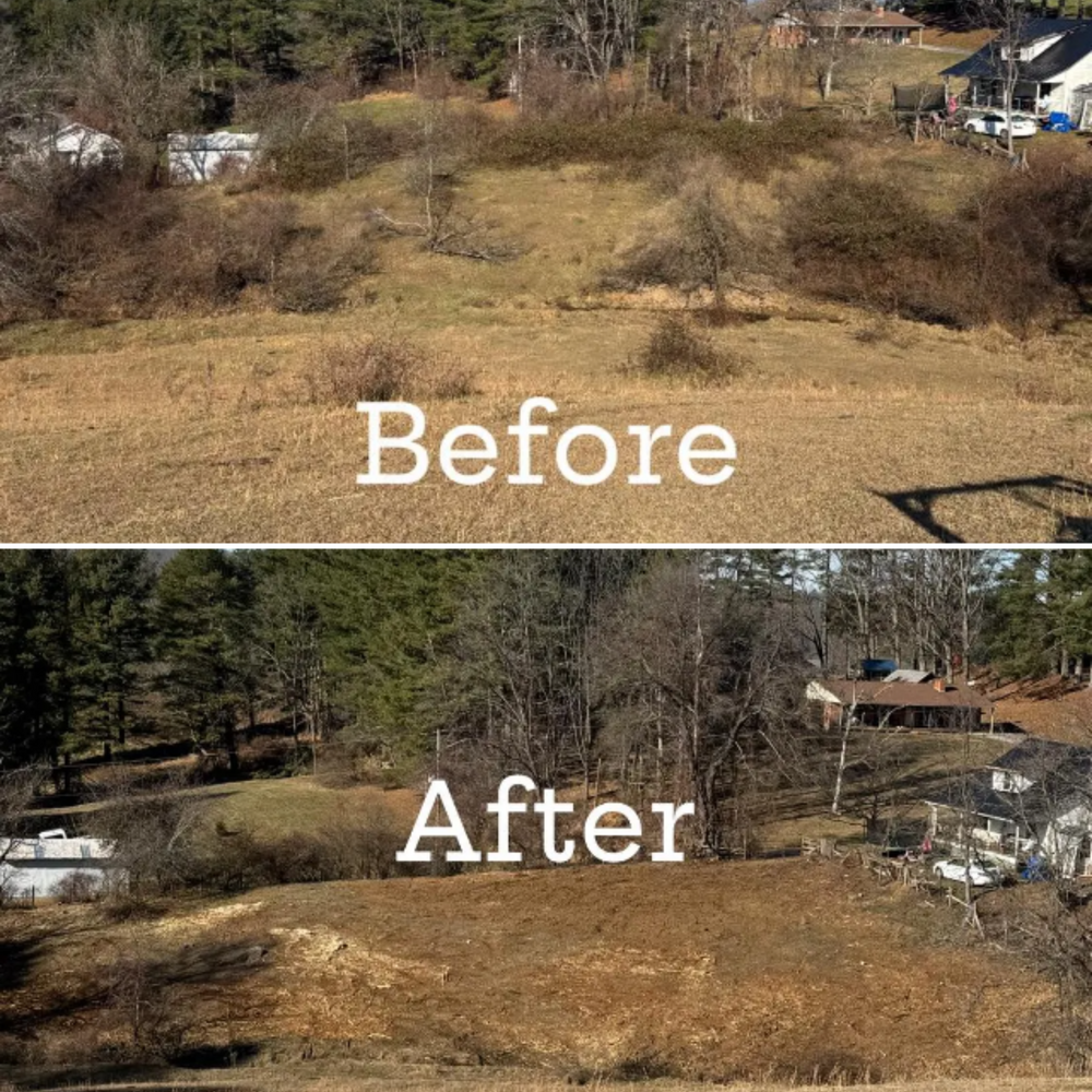 Before and Afters for Mountain Goat Land Management in Galax, VA