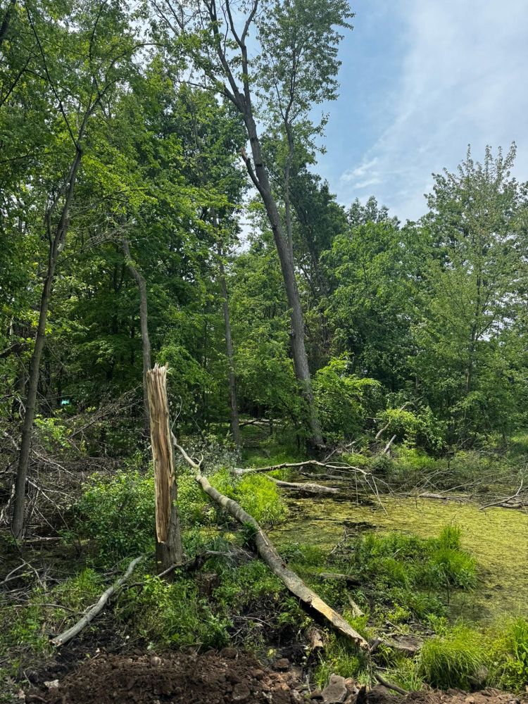 All Photos for Accurate Excavating in Grand Rapids, MI