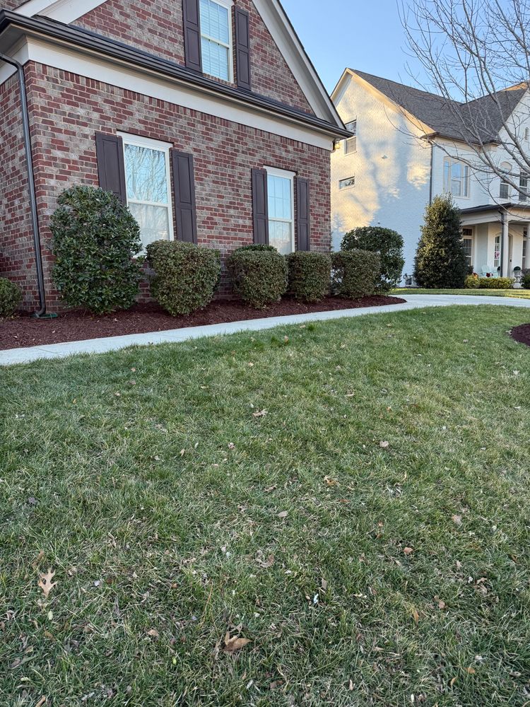 After for Dream Cuts Landscaping and Lawn Care LLC in Gastonia, NC