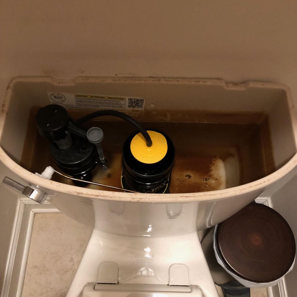 All Photos for One and Done LLC in Locust Grove, VA