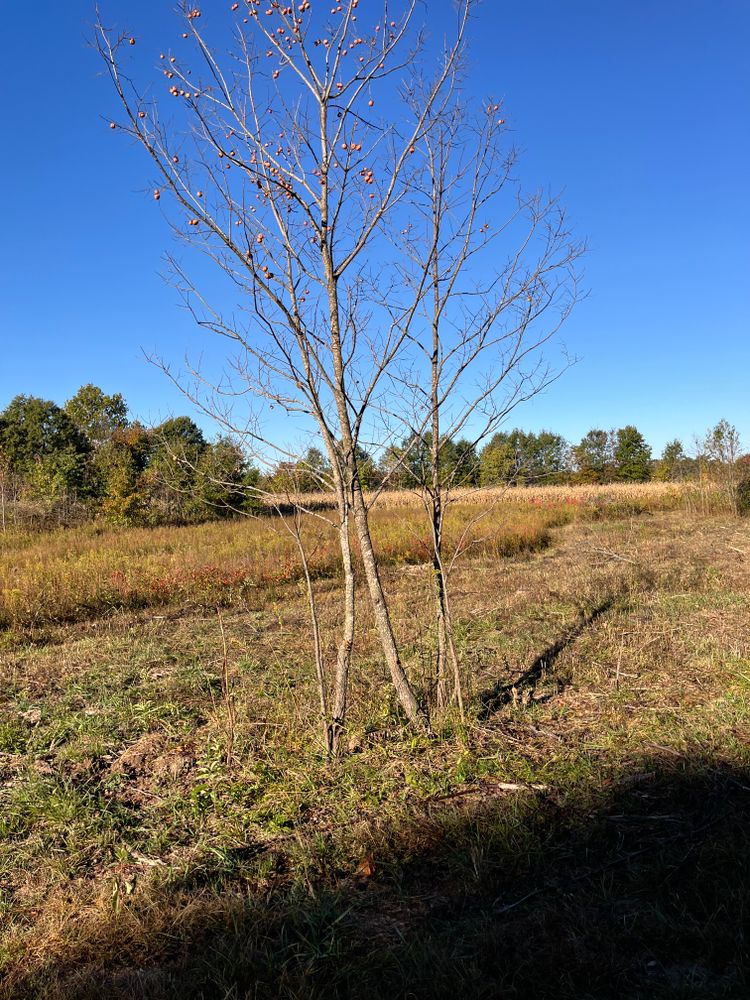 All Photos for KG Ground Development and Transportation in Newton, IL