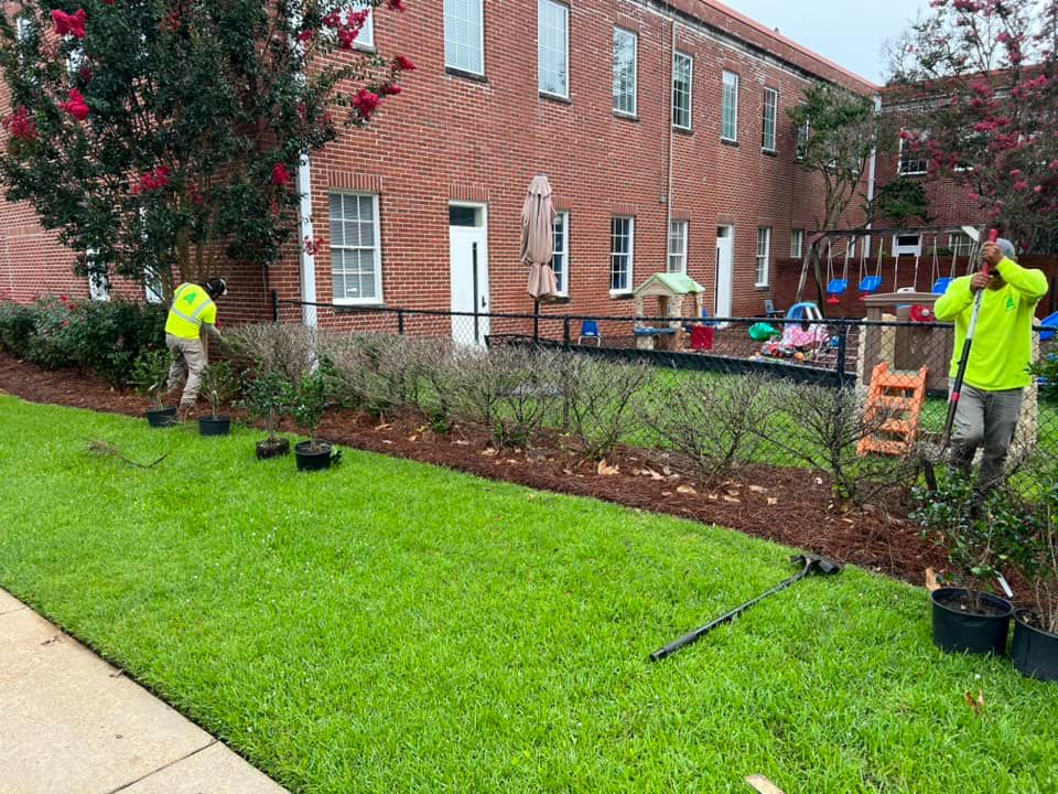 Landscaping for Amis Lawn and Landscape, LLC in Clinton, MS