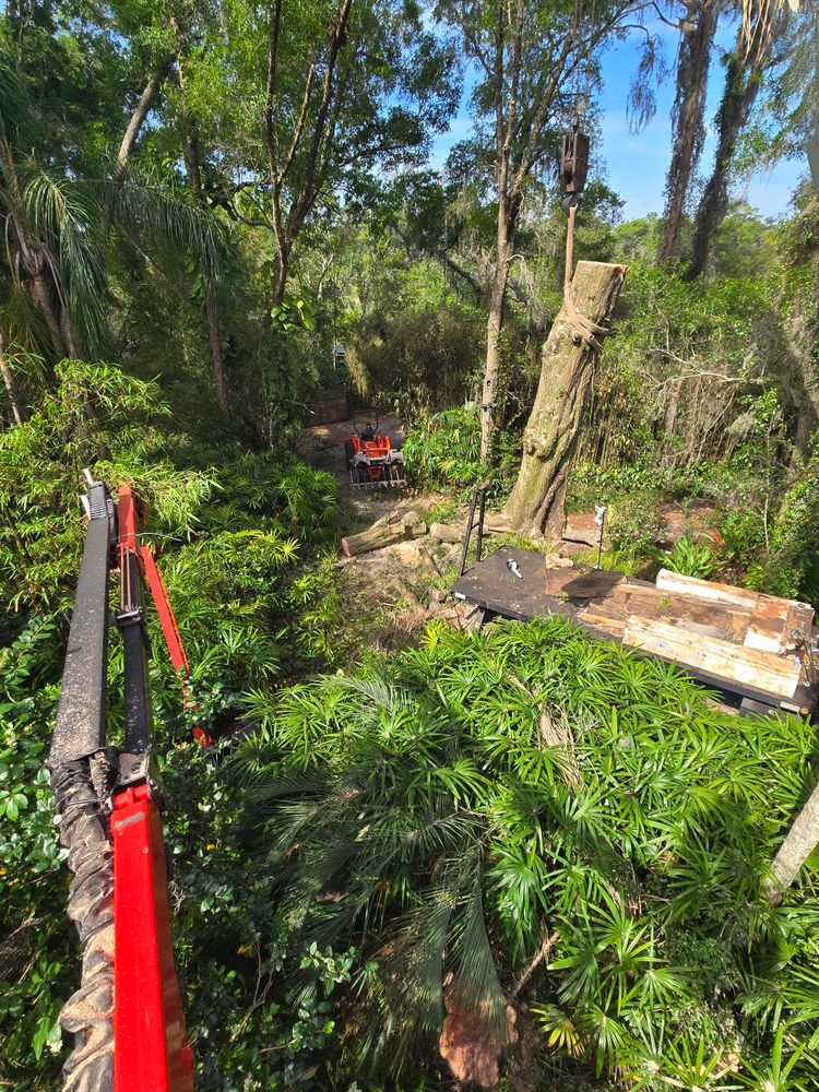 All Photos for Near Me Tree Service, Inc. in DeLand, FL