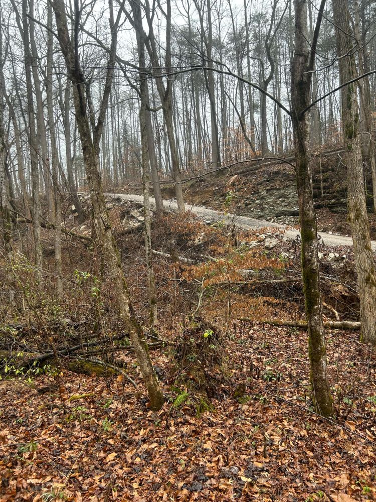 All Photos for Z's Land Management & Forestry Mulching in Smithville, TN