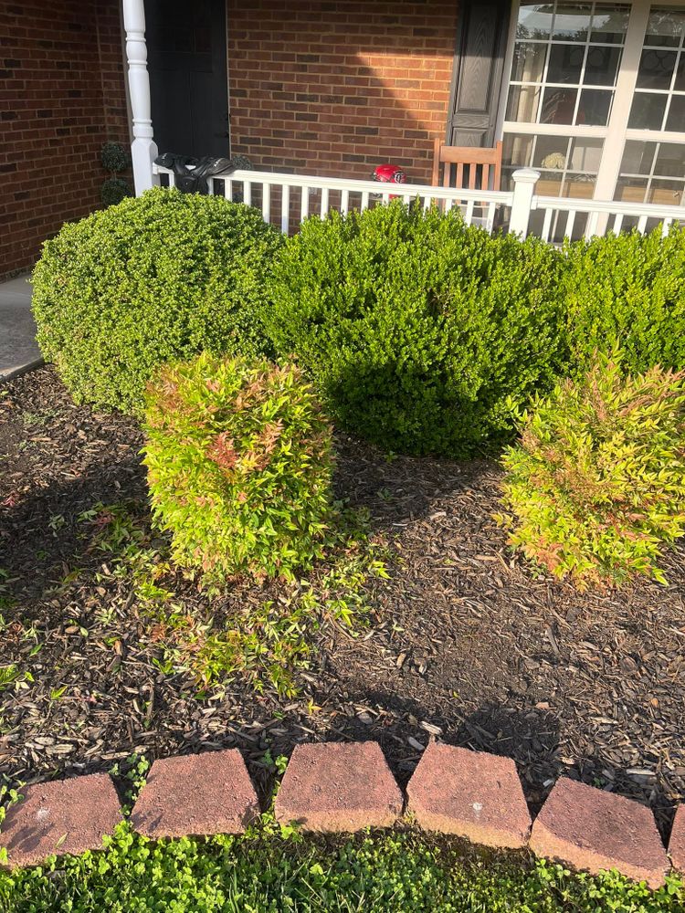 Enhance your home's curb appeal with our expert shrub trimming service. Our team shapes and maintains shrubs for optimal health and aesthetic, ensuring a neat, vibrant landscape year-round. for R&M Property Maintenance in White Pine, TN