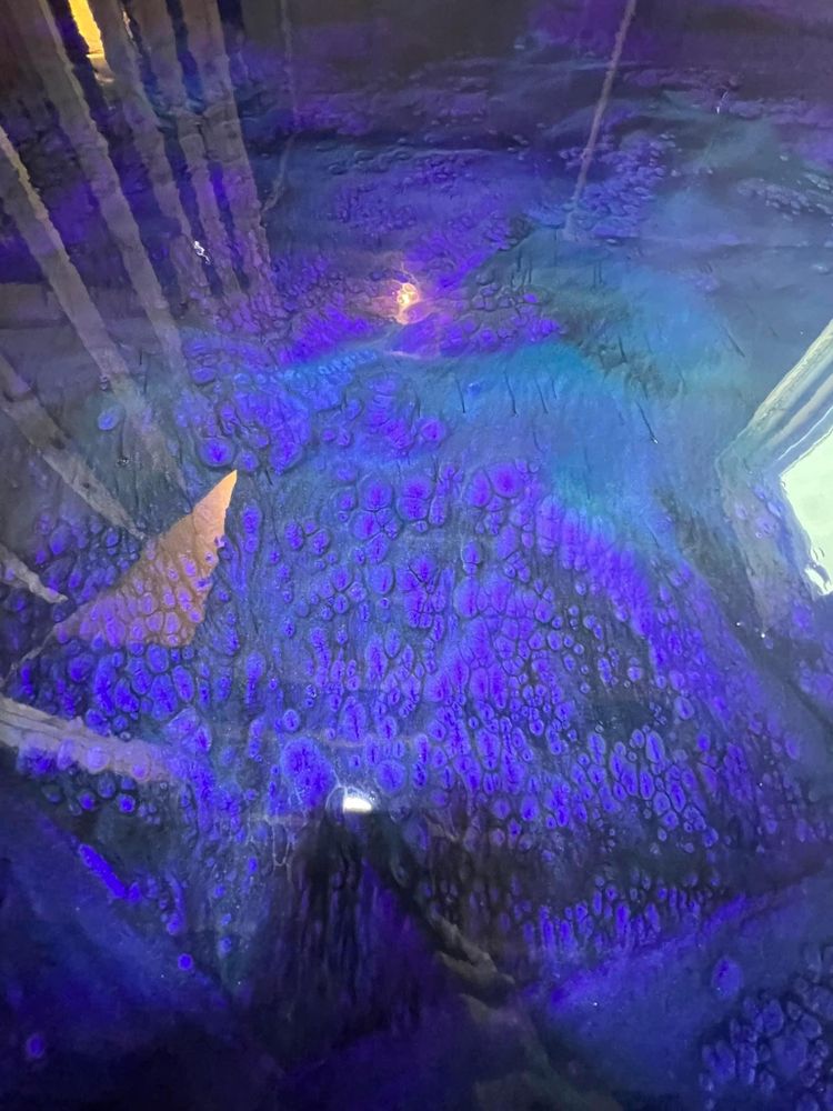 All Photos for Texas Curb N Borders in Houston, TX