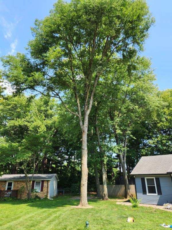 Tree Removal for Hunnicutt’s Tree Service L.L.C. in Monticello, IN