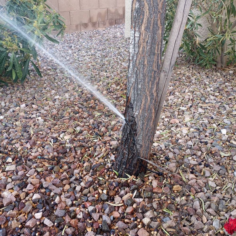 All Photos for CRAJE Landscaping LLC in Mesa, AZ
