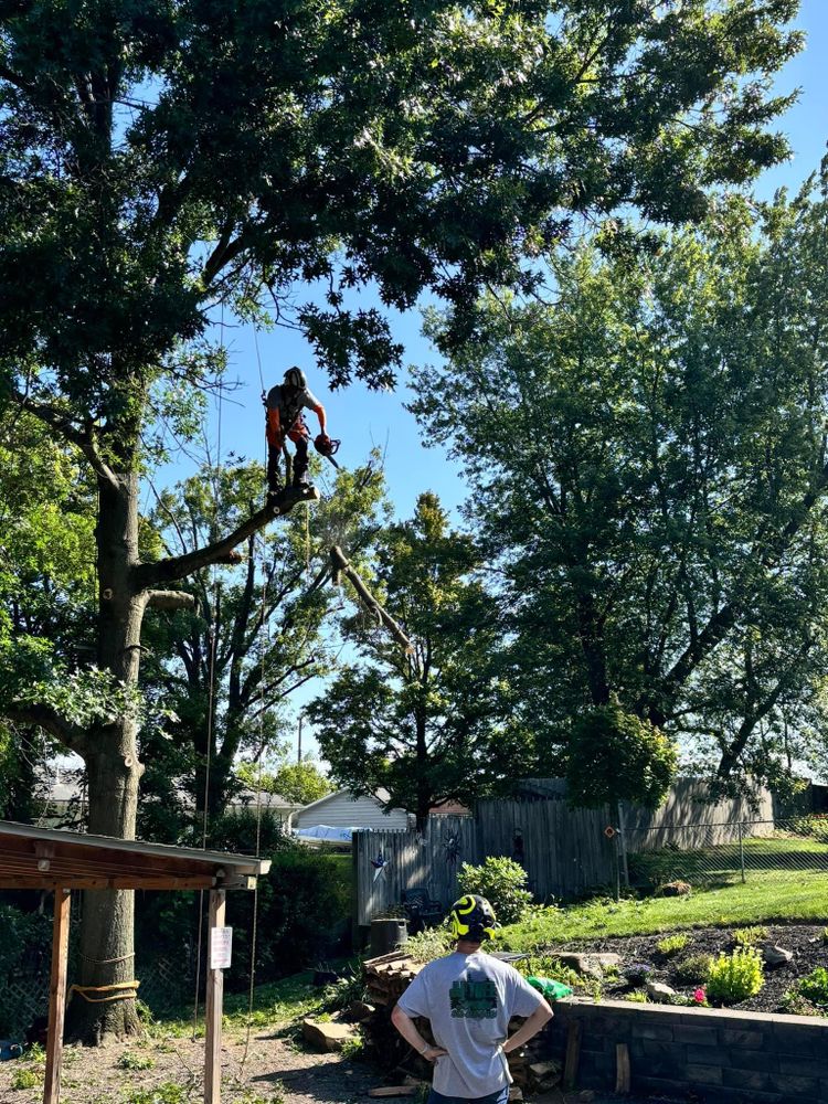 Shrub Trimming for JJ Tree Service in Gibsonia, PA