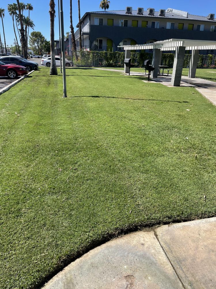 Commercial Lawn Maintenance for American Dream Landscape Company in Surprise, AZ