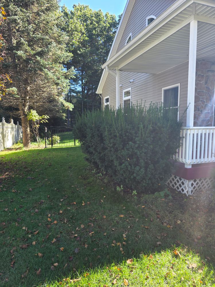 All Photos for Sweet Scapes in Ballston Spa, NY