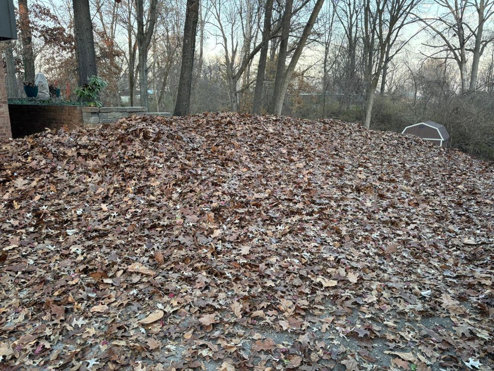 All Photos for Andrew's Lawn Service LLC in Lebanon, IL