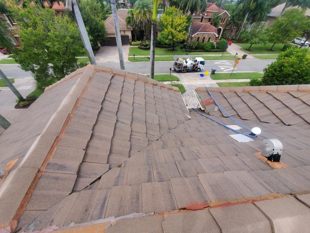 All Photos for Zero Pressure Roof Cleaning INC in West Palm Beach, FL