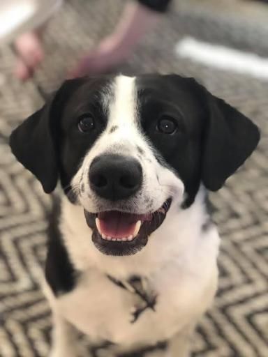 All Photos for A Beautiful Day Cleaning in Rogers, AR