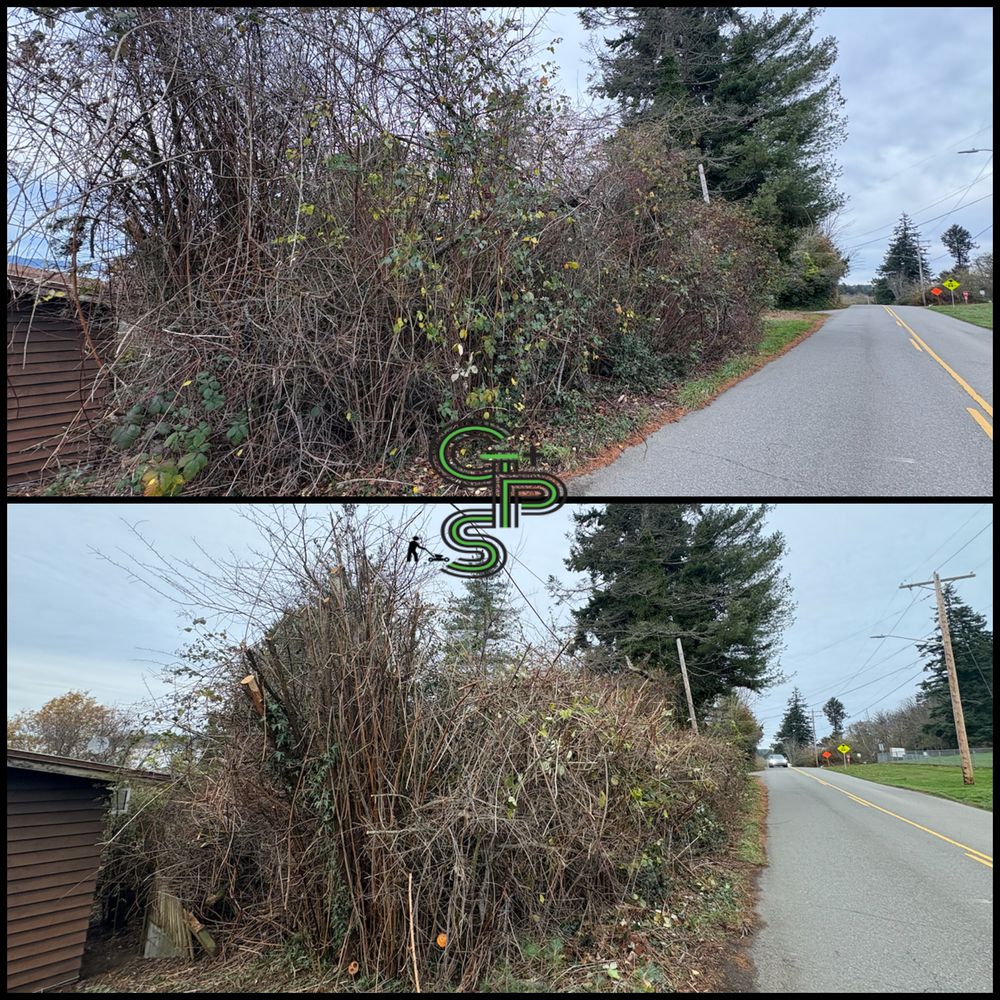Fall Clean Up for Golovin Property Services LLC in Marysville, WA
