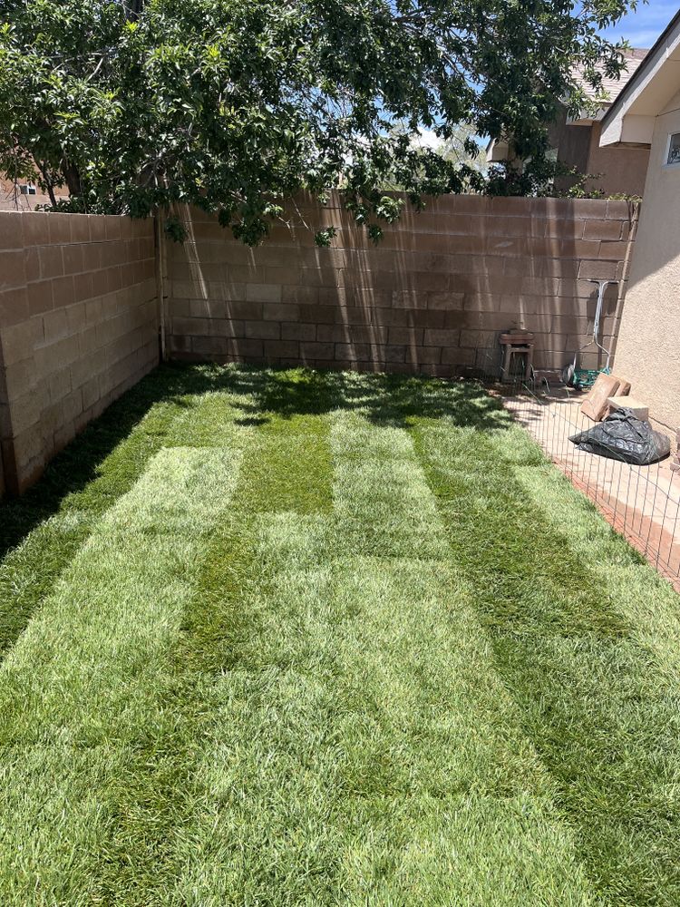 All Photos for 2 Brothers Landscaping in Albuquerque, NM