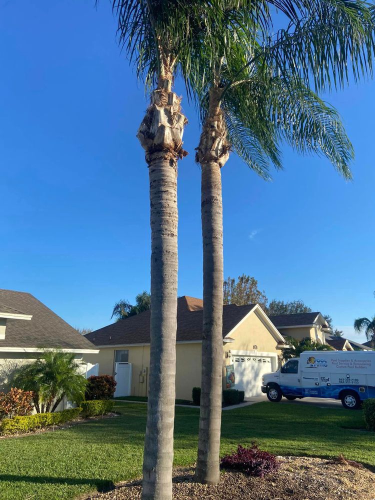 All Photos for Efficient and Reliable Tree Service in Lake Wales, FL