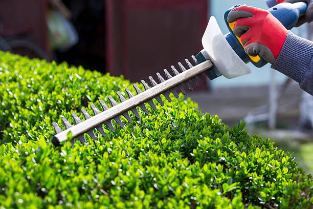 Enhance your home's curb appeal with our expert Shrub Trimming service, providing precise shaping and maintaining healthy growth for a beautiful and well-manicured landscape year-round. for Bakers Landscape & Design in East Liverpool, OH