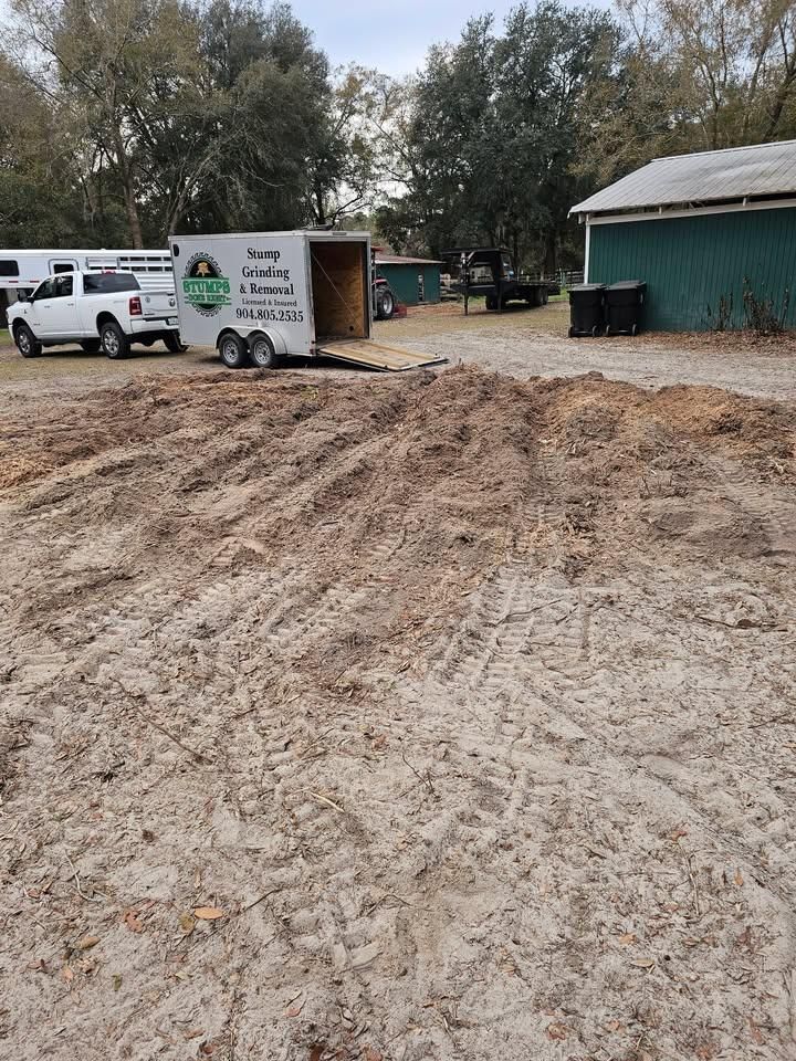 All Photos for Stumps done right LLC in Middleburg, FL