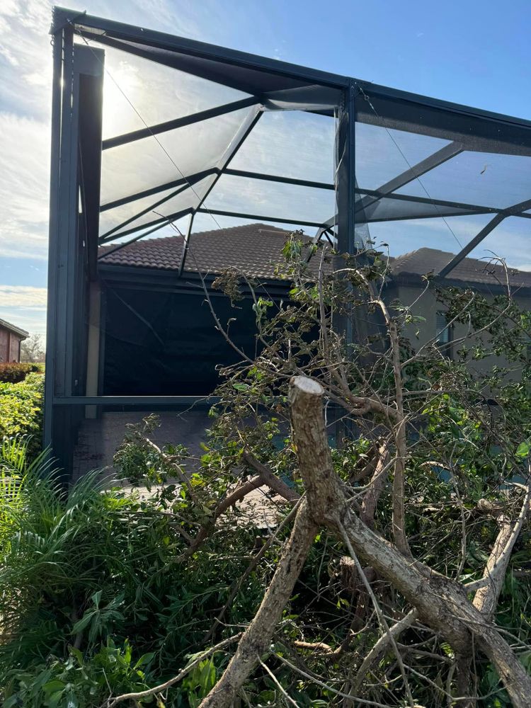 Landscaping for Omarvelous Landscaping in Sarasota, FL