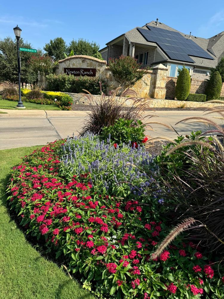 Seasonal color changes for Guerrero's Landscape in Fort Worth,  TX