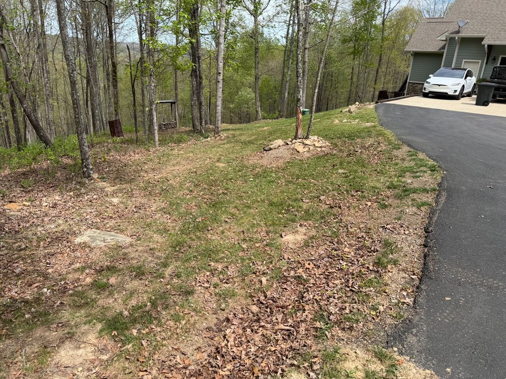 Landscaping for Starnes Hardscapes & Property Management LLC in Dunlap, TN